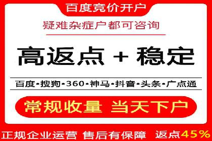 SEO百度推广策略：成功案例解析