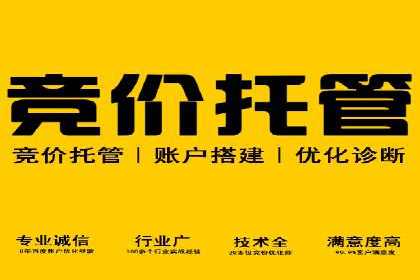SEM代运营托管公司成功案例：提升品牌曝光率